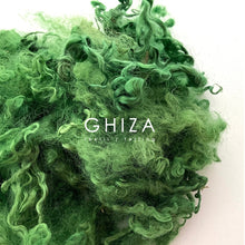 Cargar imagen en el visor de la galería, RIZOS WENSLEYDALE VERDES